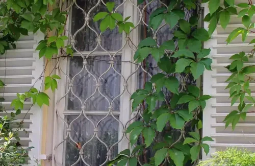 Fenstergitter schützt stilvoll ein Pflanzenbewachsenes Fenster mit weißen Klappläden.